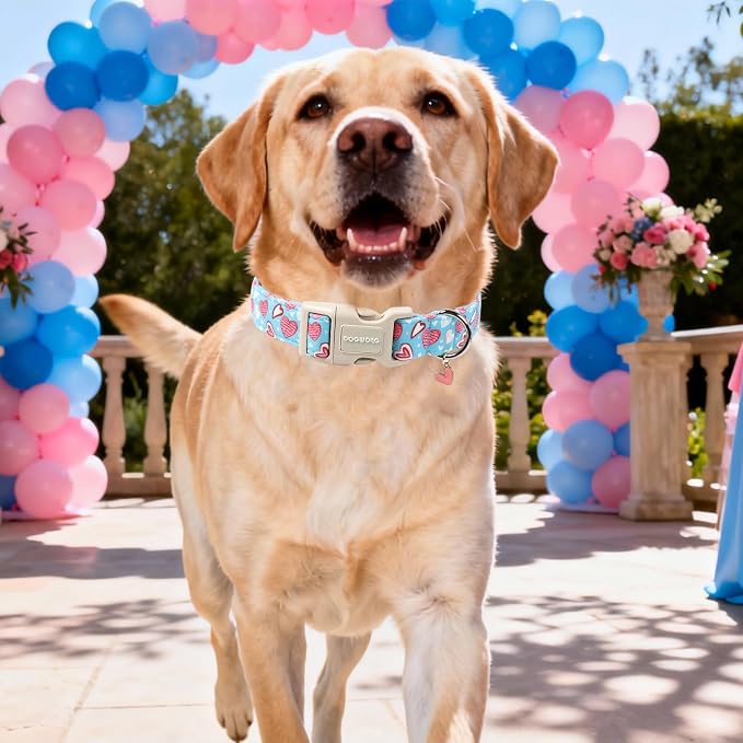 DOGWONG Blue Heart Dog Collar, Cute Valentine Collar, Valentine's Day Dog Collar - Image 5