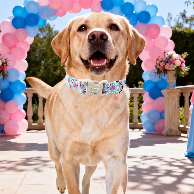 DOGWONG Blue Heart Dog Collar, Cute Valentine Collar, Valentine's Day Dog Collar - Image 5
