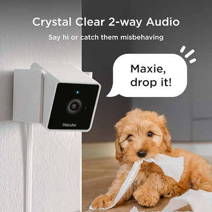 Petcube Cam The Pack of 2 | Indoor Wi-Fi Pet Security Camera - Image 3