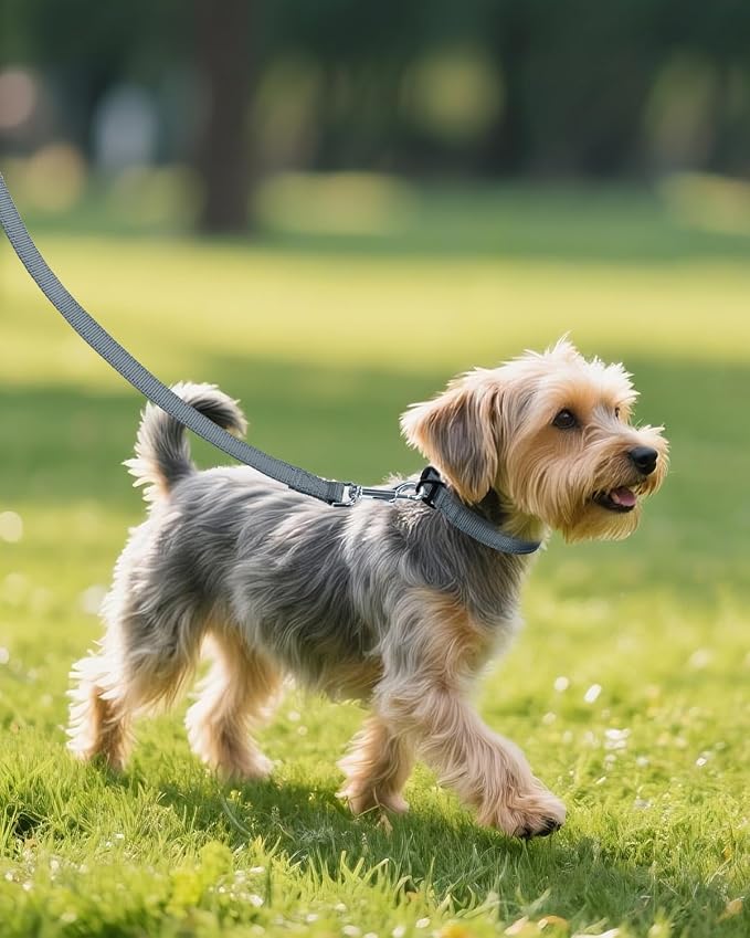 Joytale Small Dog Collar, Reflective and Adjustable Nylon Collar - Image 6