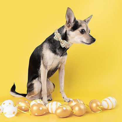 Easter Dog Collar with Bowtie, Cute Carrot Easter Dog Collar with Metal Buckle - Image 4