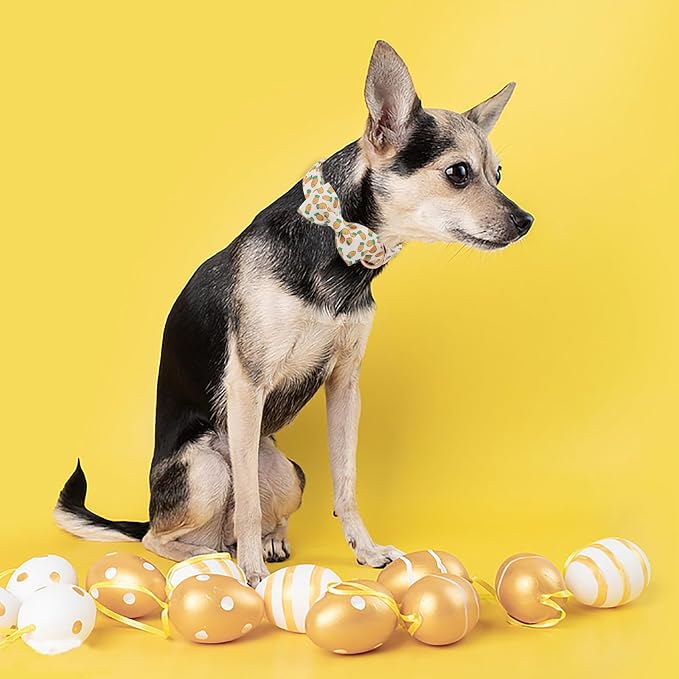 Easter Dog Collar with Bowtie, Cute Carrot Easter Dog Collar with Metal Buckle - Image 4