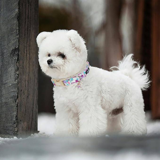 Winter Wonderland Dog Collar for Small Dogs，Adjustable White Puppy Collar - Image 5