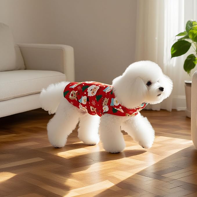 EXPAWLORER Cat Christmas Sweater - Image 6