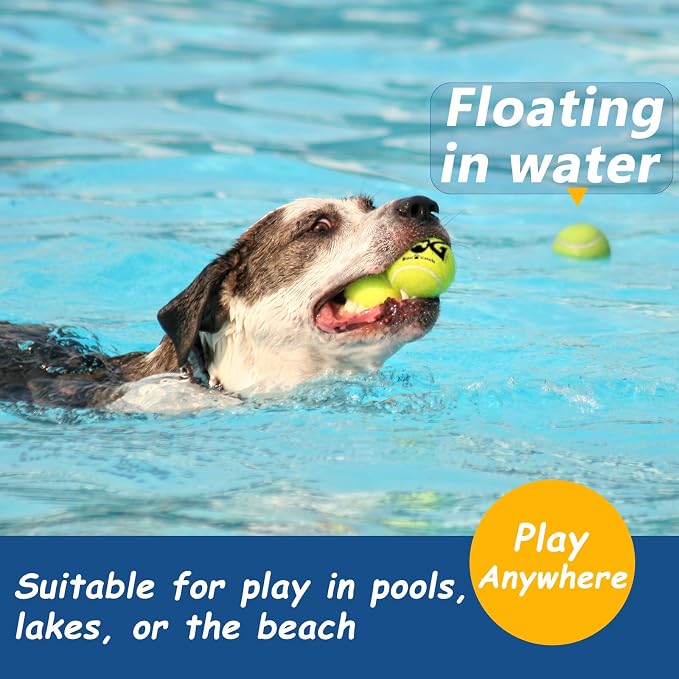 Tennis Balls for Dogs - Image 6