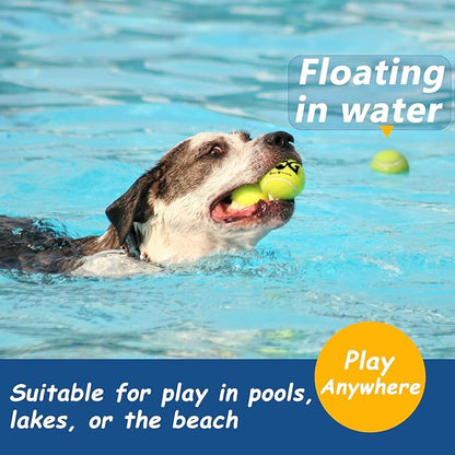 Tennis Balls for Dogs - Image 4