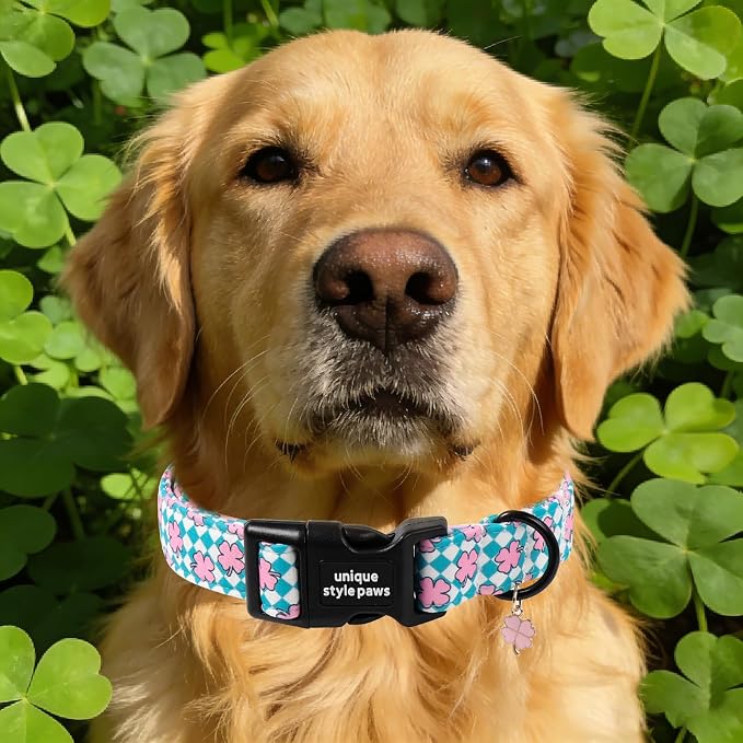 Unique style paws Dog Collar Plastic Buckle - Image 5