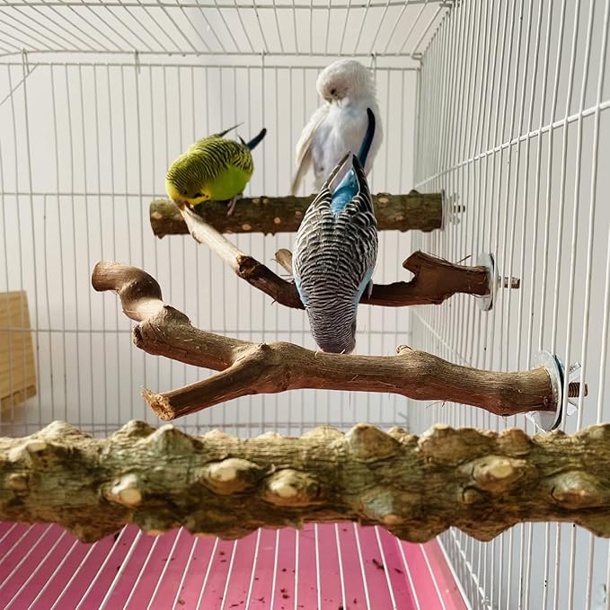 Allazone 5 PCS Natural Wooden Parrot Stand Bird Perch Stand Grape Stick Hanging - Image 7