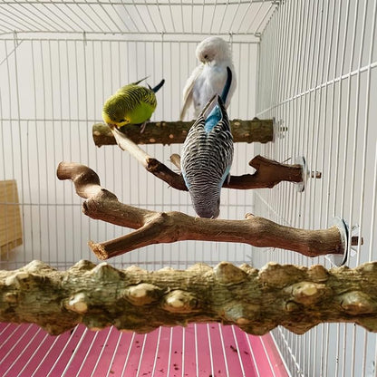 Allazone 5 PCS Natural Wooden Parrot Stand Bird Perch Stand Grape Stick Hanging - Image 7