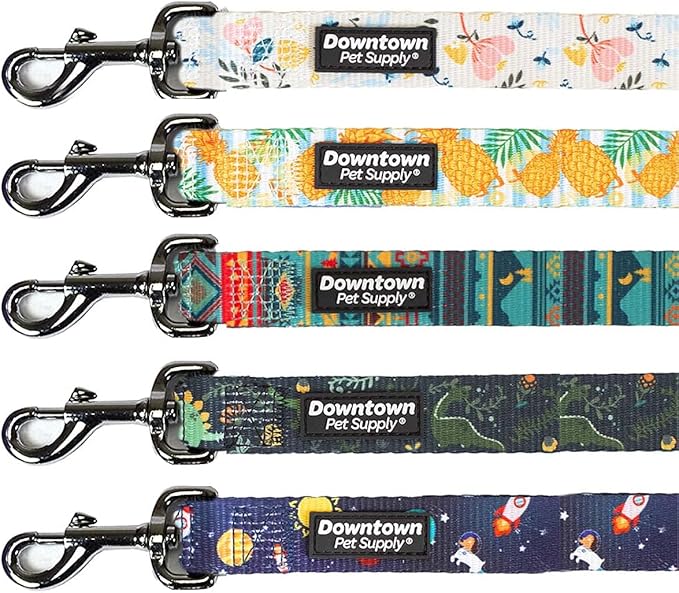 Downtown Pet Supply 6ft Heavy-Duty Dog Leash by DowntownPetSupply