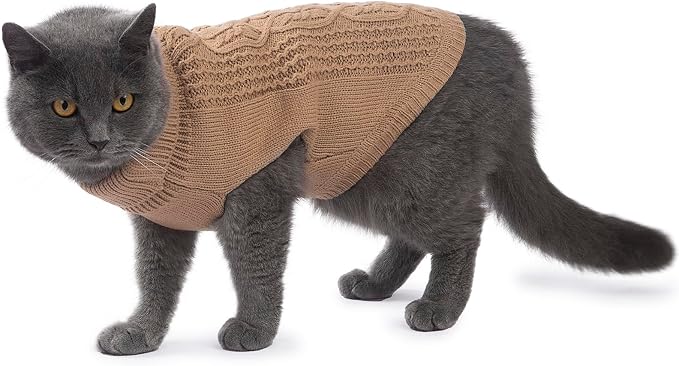 Stretchy Cat Sweater - Image 4