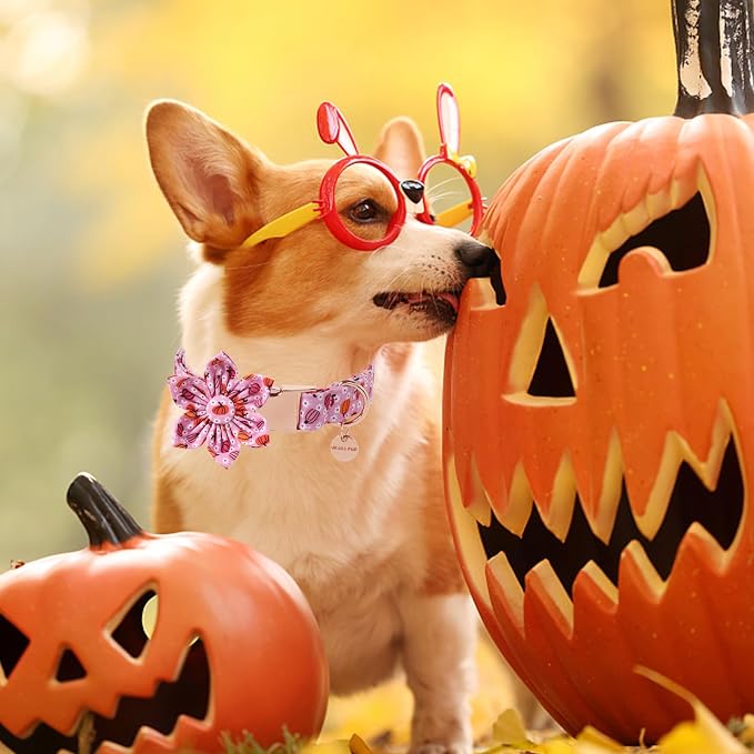 Halloween Pumpkin Dog Collar - Image 5