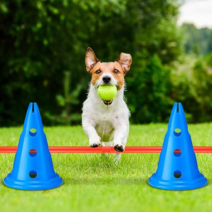 10 Sets Dog Agility Hurdle Cone Set 20 Pcs Exercise Cones - Image 3