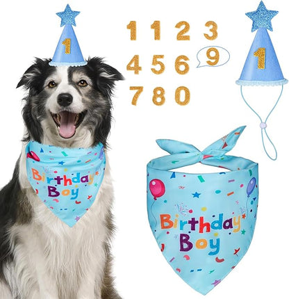 Dog Boy Girl Birthday Party Hat, Dog Birthday Party Supplies, Birthday Bandana by Yicostar