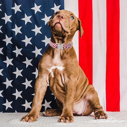 Unique style paws Independence Day Dog Collar Metal Buckle Striped Star Collar - Image 3