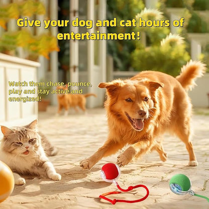 2 PCS Interactive Cat Toy Rolling Ball Chewie Viral Dog Ball, Smart Automatic - Image 7