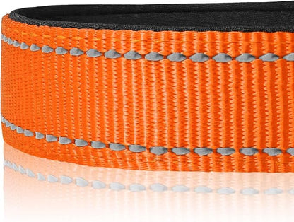 Joytale Reflective Dog Collar, Soft Neoprene Padded Breathable Nylon Pet Collar - Image 4
