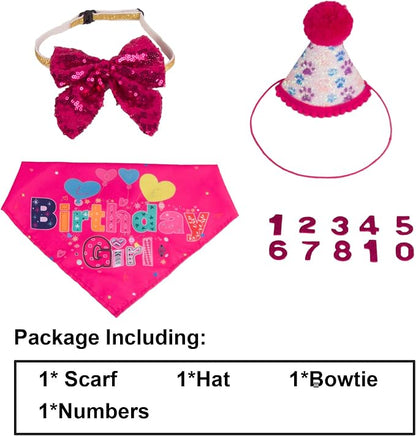 PTDECOR Dog Birthday Party Supplies, Girl Dog Birthday Hat - Image 3