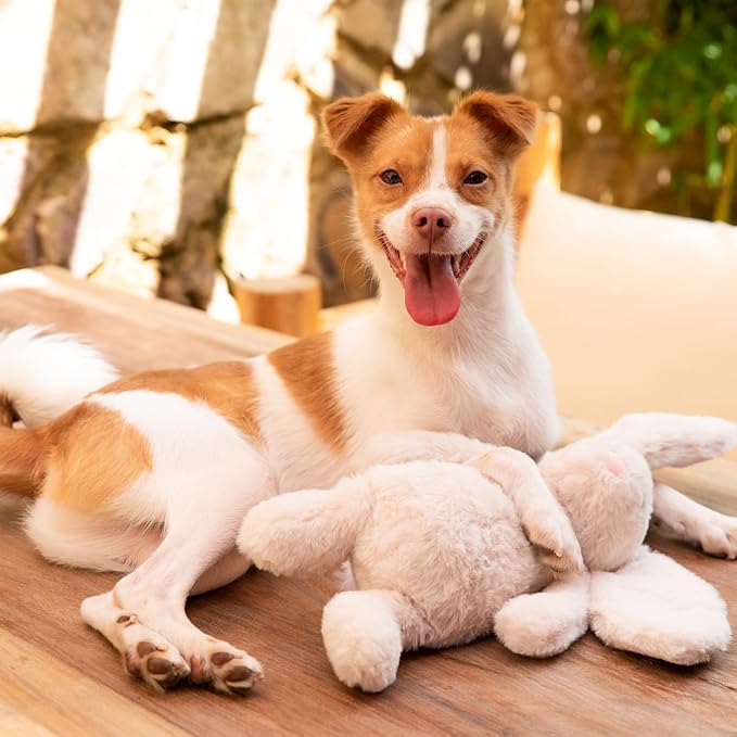 Best Pet Supplies Interactive Squeaky Dog Chew Toy, Ideal Dog Toys - Image 6