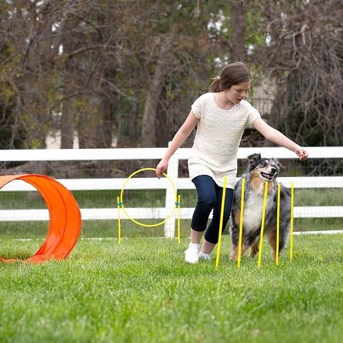 Outward Hound Zip & Zoom Outdoor Dog Agility Training Kit - Image 10