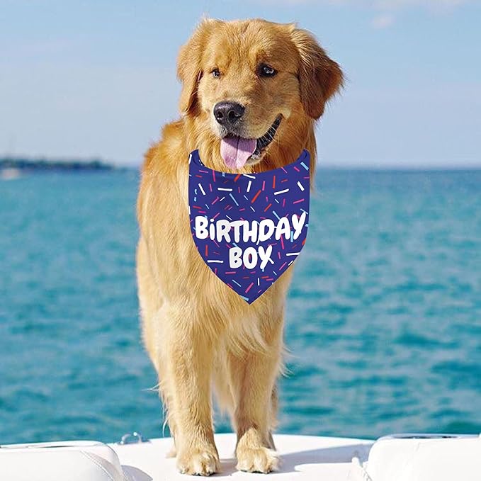 Birthday Boy Dog Bandanas 1 Pack, Pet Scarves - Image 3