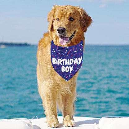 Birthday Boy Dog Bandanas 1 Pack, Pet Scarves - Image 3