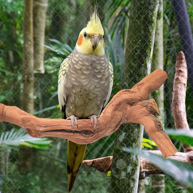 6-Piece Premium Bird Perch Stand - Image 4