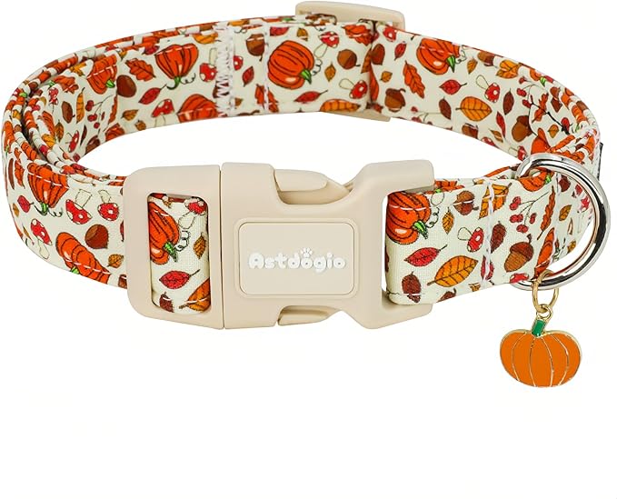 Fall Dog Collar – Halloween & Thanksgiving Dog Collars by Unknown