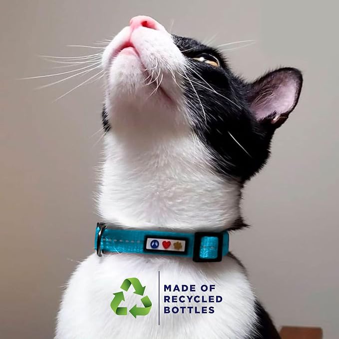 Pawtitas Recycled Red Reflective Cat Collar – Eco-Friendly Breakaway Safety - Image 3