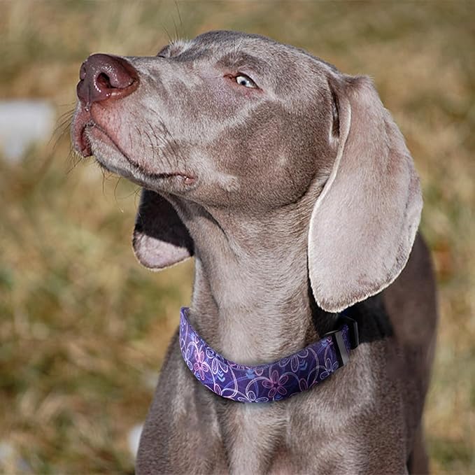 QQPETS Adjustable Soft Dog Collar: Print Flower Pink Multicolor Cute Patterns - Image 2