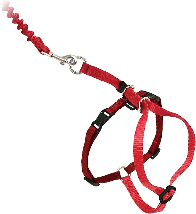PetSafe Come With Me Kitty Cat Harness & Bungee Leash - Image 4