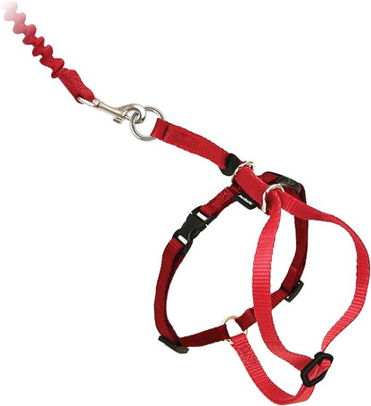 PetSafe Come With Me Kitty Cat Harness & Bungee Leash - Image 4
