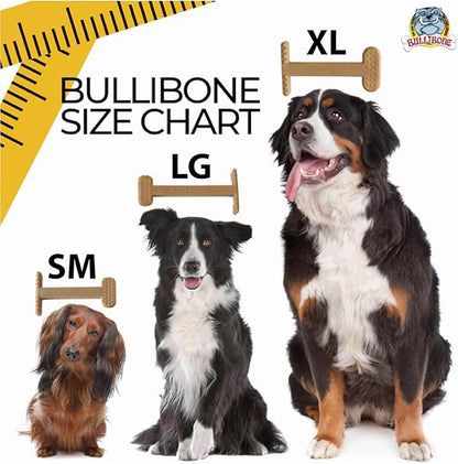Bullibone Nylon Dog Chew Toy for Aggressive Chewers - Image 7