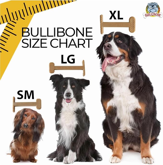 Bullibone Nylon Dog Chew Toy for Aggressive Chewers - Image 7