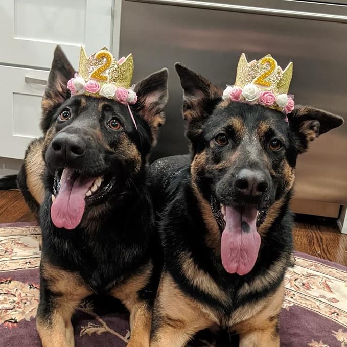 Dog Birthday Crown Hat - Image 8