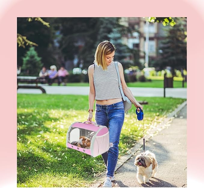 Lizard Travel Carrier Backpack, Guinea Pig Backpack Carrier, Space Capsule - Image 6