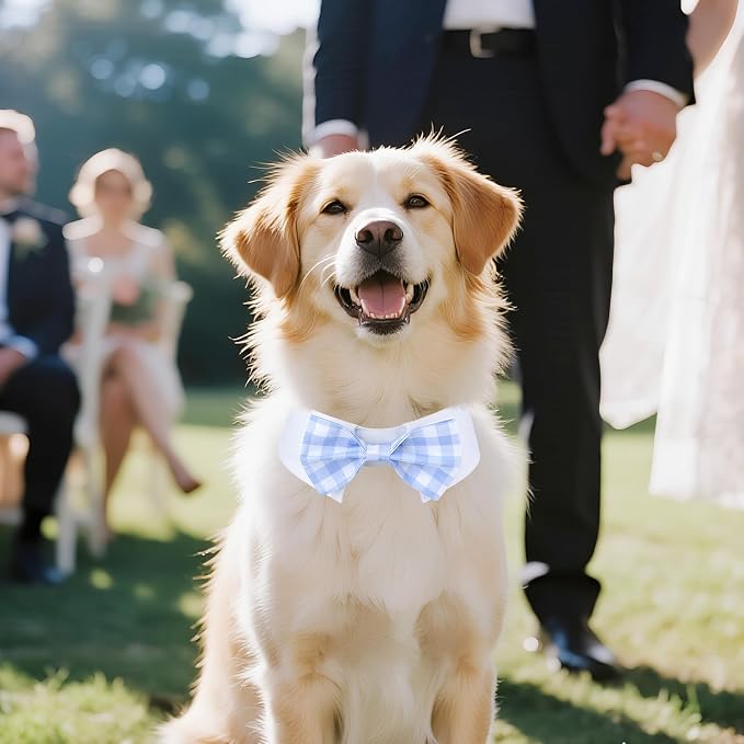 Segarty Dog Bow Tie for Neck Girth 12.6-15.7in, Adjustable Light Blue Plaid - Image 6
