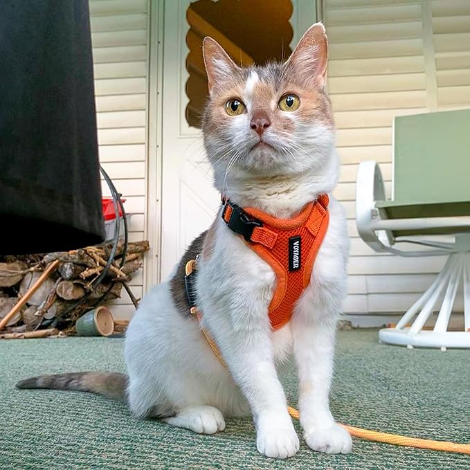 Voyager Escape-Proof Step-in Lock Cat Harness & 5ft Neoprene-Handle Leash Set - Image 6