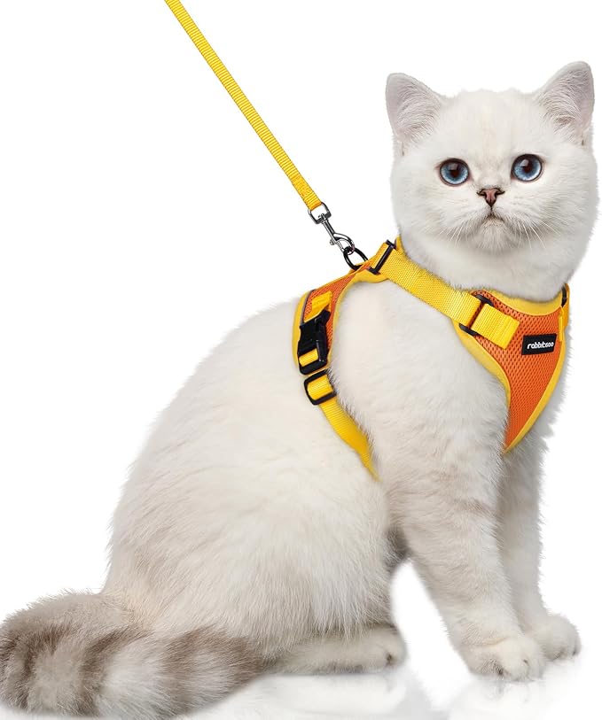 rabbitgoo Cat Harness and Leash Set, Escape Proof Soft Adjustable Vest Harnesses by rabbitgoo