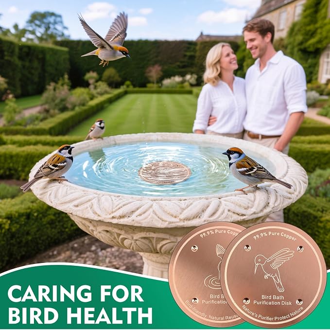 1 Pcs Copper Disc for Bird Bath | 99.99% Pure Copper Plate & Birdbath Disk | - Image 7