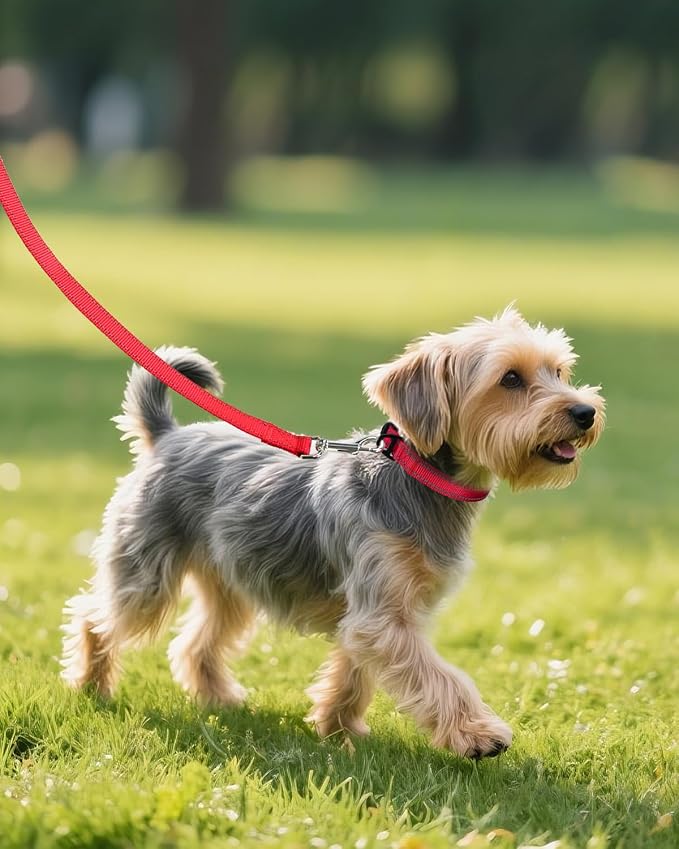 Joytale Small Dog Collar, Reflective and Adjustable Nylon Collar - Image 6