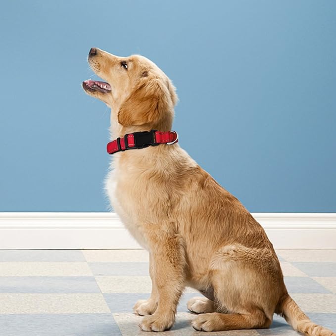 Reflective Dog Collar, Adjustable Soft Neoprene Padded Nylon Pet Collars - Image 2