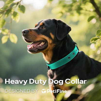 PetiFine Dog Collars for Medium Dogs, Neoprene Padded and Adjustable, - Image 4