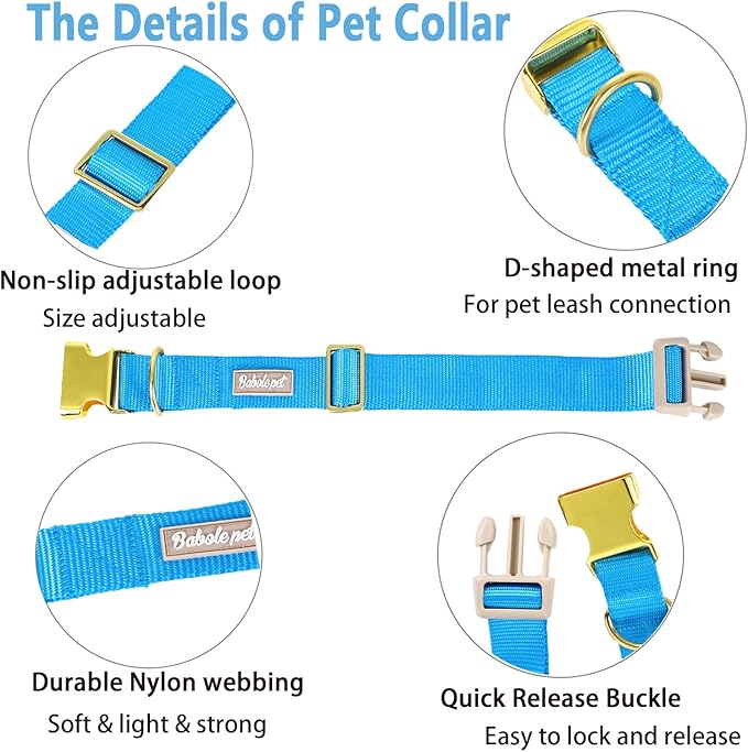Nylon Dog Collar - Image 4