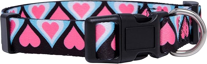 Native Pup Valentine’s Dog Collar- Valentines Day Pet Collars- Valentine Girly by NativePup