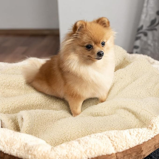 furrybaby Premium Soft Dog Blanket - Image 2