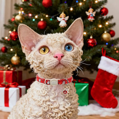 Unique style paws 2 Pack Christmas Kitten Collar Breakaway - Image 6