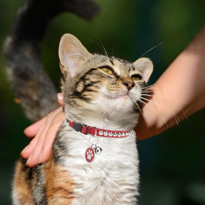 Leather Personalized Breakaway Cat Collar - Image 3