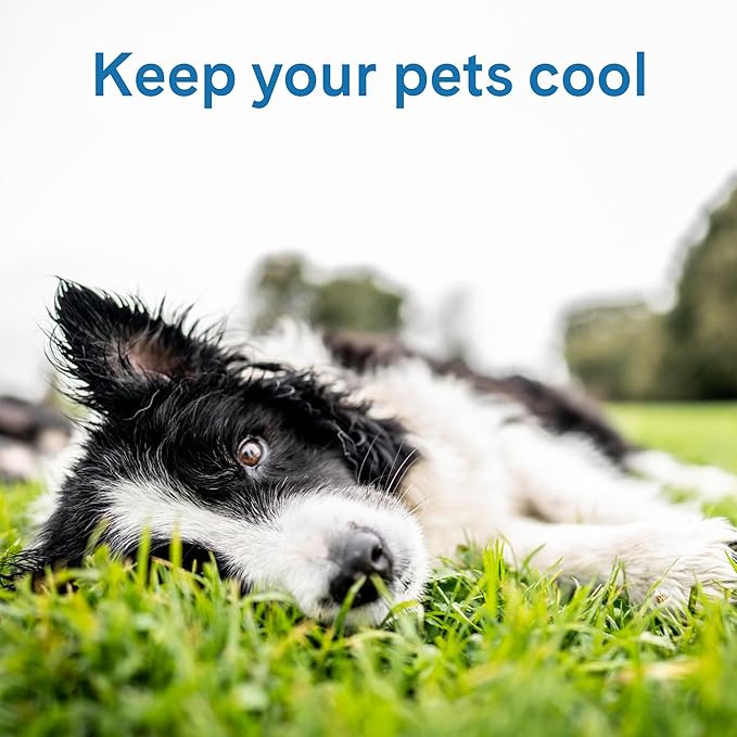 The Green Pet Shop Cool Pet Pad - Image 2