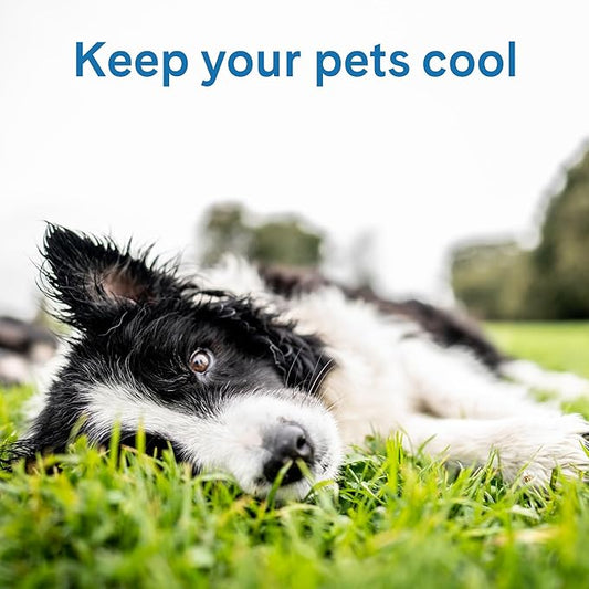 The Green Pet Shop Cool Pet Pad - Image 2